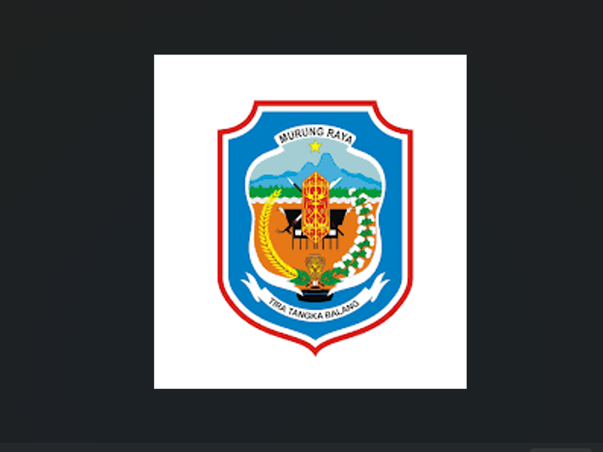 RSUD Puruk Cahu